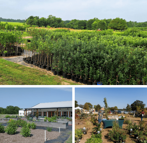 Storage That Passes Inspection, Not Just the Eye Test Storage That Passes Inspection, Not Just the Eye Test